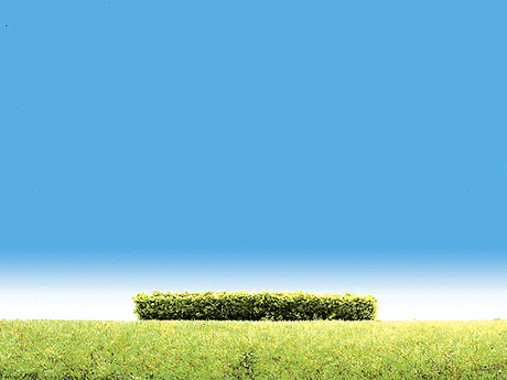 Hedges -- Light Green 4 x 3/8 x 3/8"  10 x 1 x 1cm