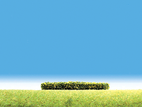 Hedges -- Flowering Yellow 4 x 3/8 x 3/8"  10 x 1 x 1cm
