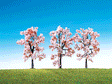 Trees - Deciduouses -- Cherry pkg(3)