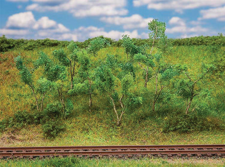 Forest Edge Trees & Bushes