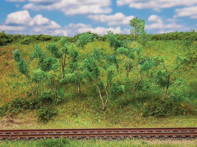 Forest Edge Trees & Bushes