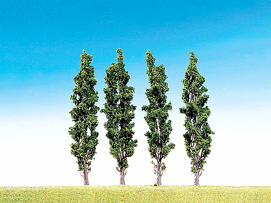 Poplars Trees -- 15cm pkg(4)