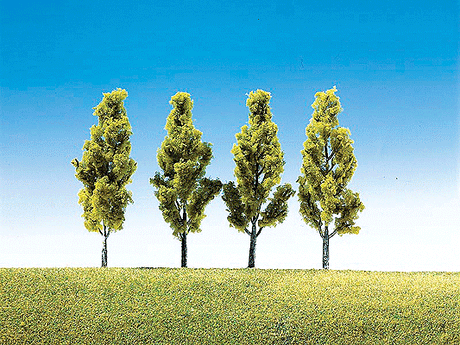 Birch Trees -- 3-1/2"