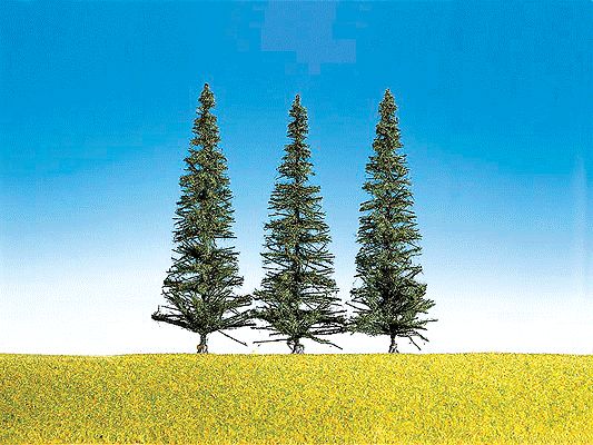 Pines -- Large Fir 5-1/2"