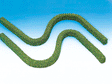 Hedge -- 19 x 5/16 x 19/32"  50 x 0.8 x 1.5 cm pkg(2)