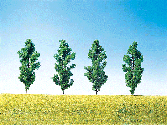 Poplar Trees -- Black, Medium