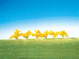 Forsythias