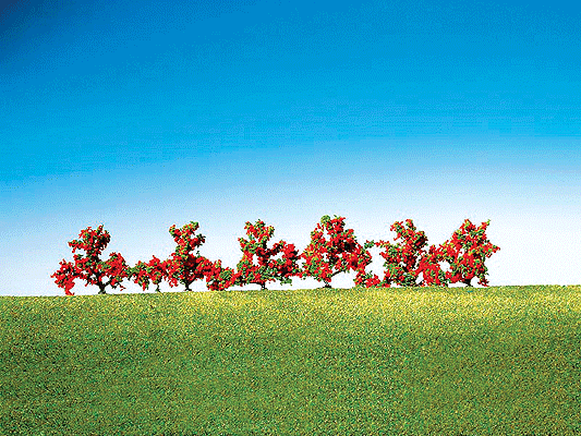 Bushes w/red Flowers
