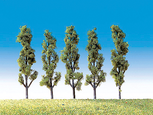 Poplar Trees -- Small 2-1/2"