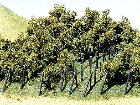 Vineyard w/Poles