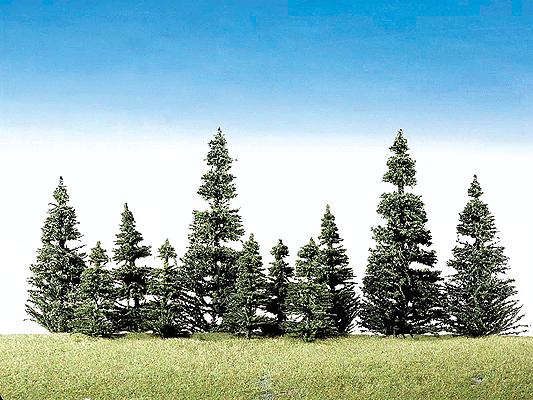 Trees-Coniferous Assortment -- Silver Firs 2 to 4-13/16" 5 to 12cm Tall