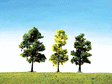 Trees -- Mixed Forest HO/N