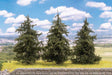 Fir Trees -- 3-3/8"  10cm Tall pkg(3)-1