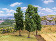 Poplar Trees -- 5-1/8"  13cm Tall pkg(3)