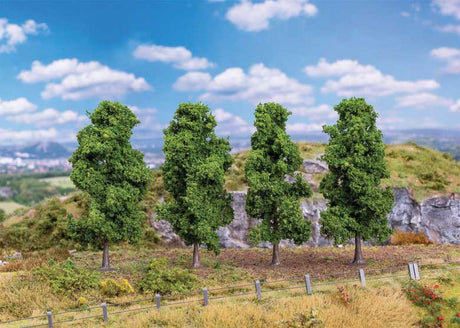 Columnar Oaks -- 3-9/16 - 4-5/16"  9 - 11cm Tall pkg(4)