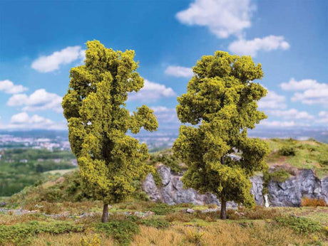 Ash Trees -- 7-1/16". 18cm Tall