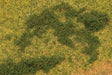 Leaf Foliage 11 x 5-1/2"  28 x 14cm Sheet -- Dark Green-1