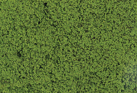Leaf Foliage 11 x 5-1/2"  28 x 14cm Sheet -- May Green-2