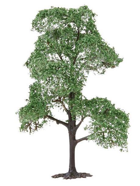 Ash Tree-2