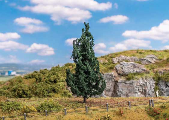 Fir Tree-1