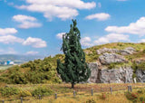 Fir Tree-1