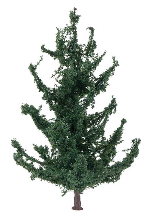 Fir Tree-2
