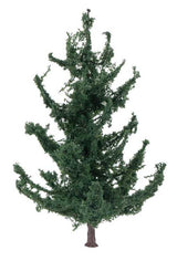 Fir Tree-2