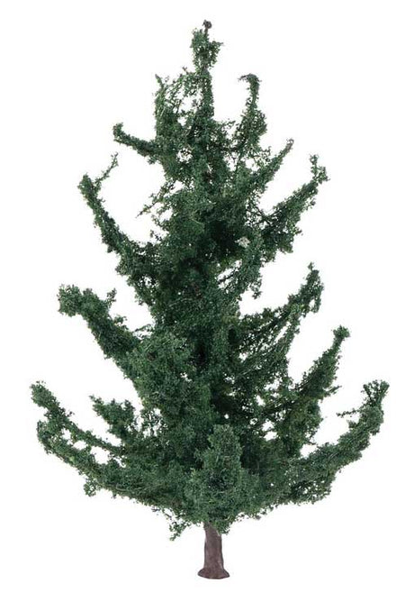 Fir Tree-2