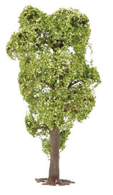 Robinia Tree-2