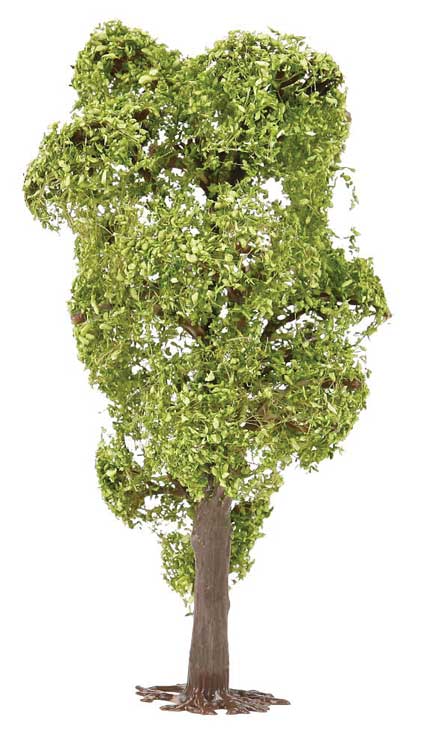Robinia Tree-2
