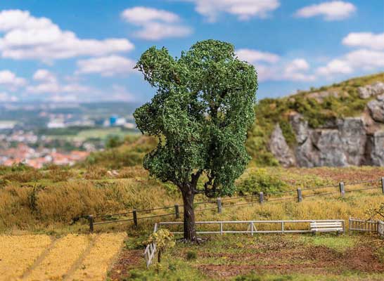 Acacia Tree-1