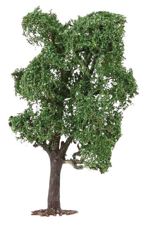 Acacia Tree-2