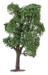 Acacia Tree-2