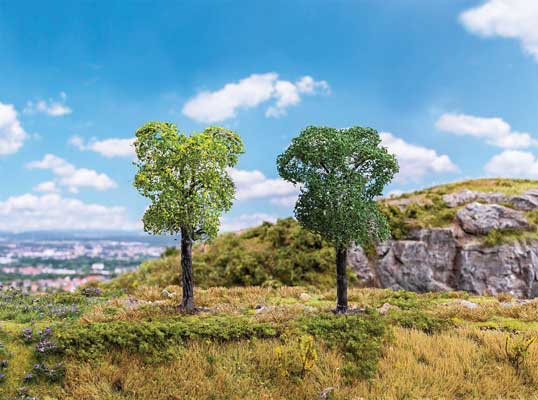 Plum Trees -- pkg(2)-1