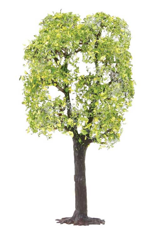 Plum Trees -- pkg(2)-3