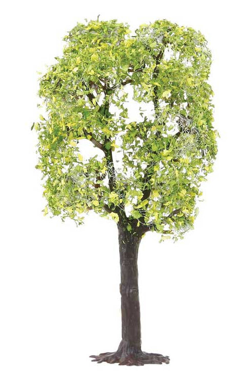 Plum Trees -- pkg(2)-3