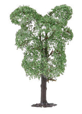 Pear Trees -- pkg(2)-2