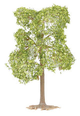 Pear Trees -- pkg(2)-3
