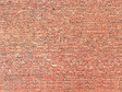 Tunnel Ward Cards -- Red Brick