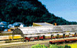 Glass Train Shed -- 6-1/2 x 3-5/8"  16.7 x 9cm