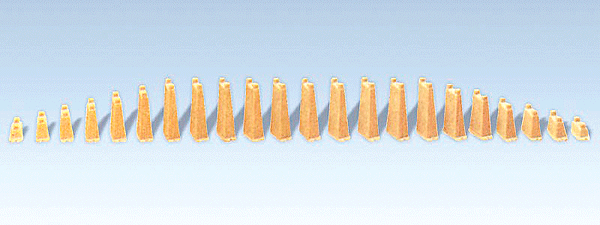 Up & Down Pier Set -- 3/8 x 1-1/2"  1 x 4cm