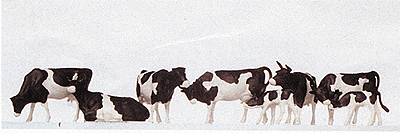 Animals -- Black Spotted Cows