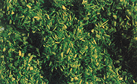 Scatter Material -- Spring Green