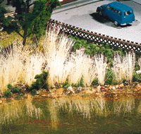 Marsh Reeds