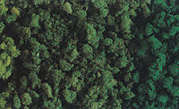 Scatter Material -- Green Foam
