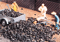 Coal Chips