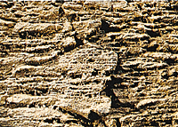 Rock Wall -- Stratified Rock