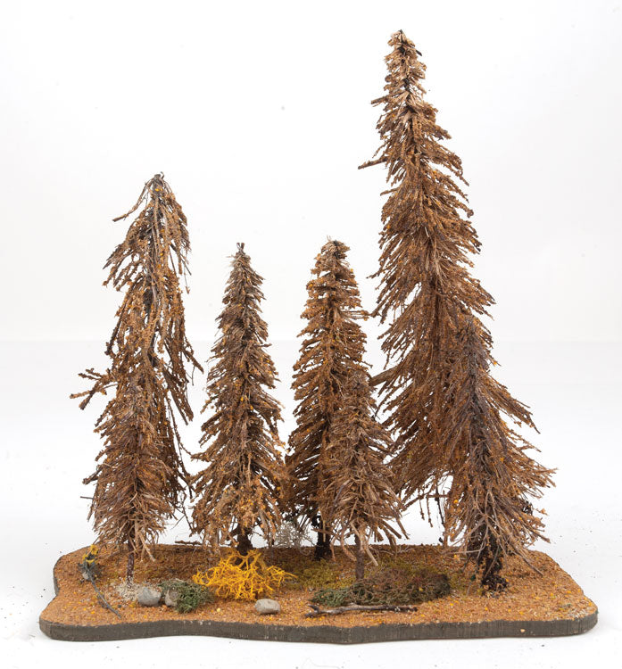 Spruce Trees -- 7 Trees 3 - 9" 7.6cm - 22.9cm Tall
