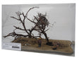 Burned Oak Trees with Smokey Bear Figure -- 2 Trees 6 - 8" 15.2 - 20.3cm Tall