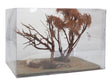 Dead Oak Trees -- 2 Trees 6 - 8" 15.2 - 20.3cm Tall